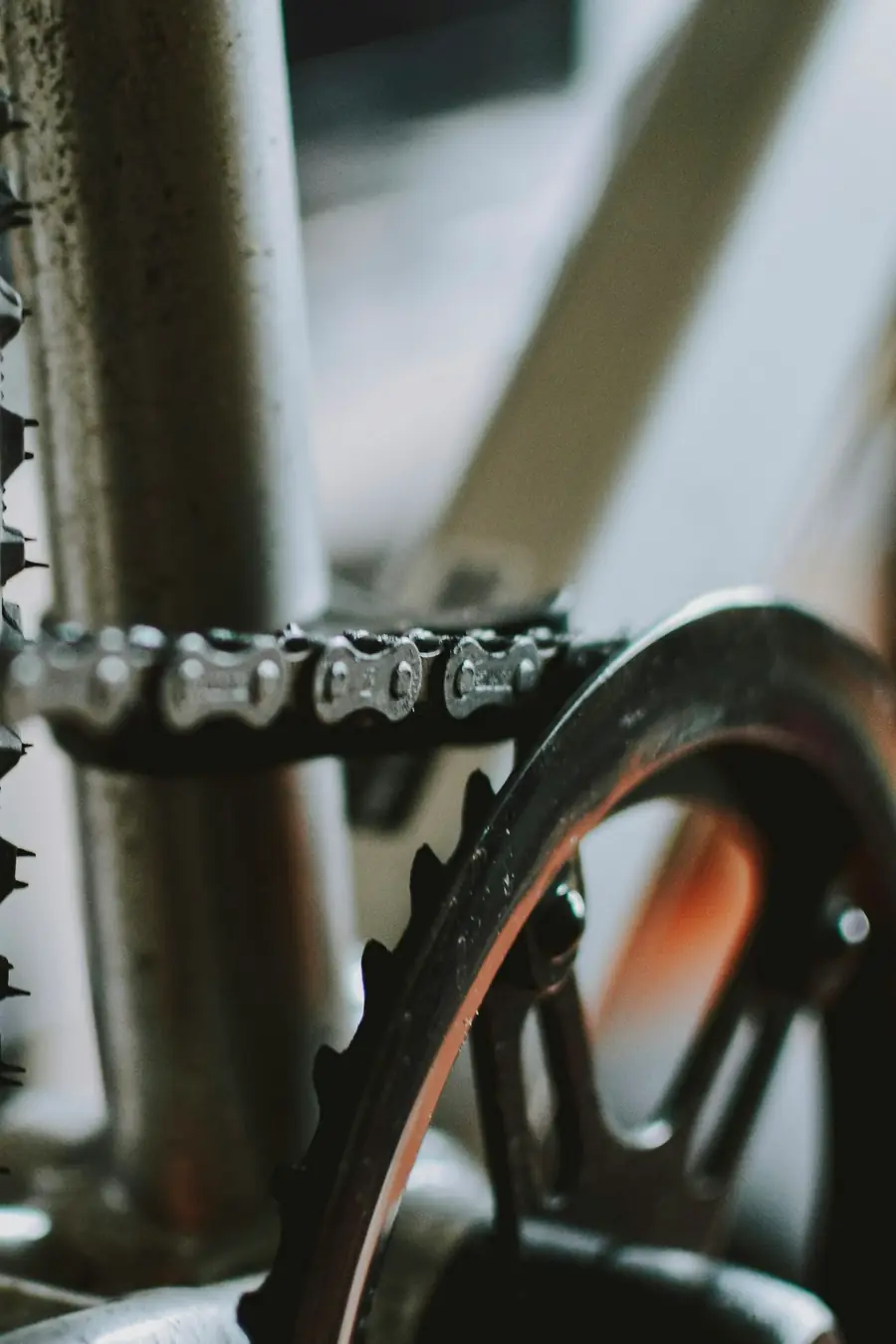 A chain on a chainring, close up.
