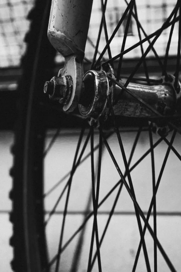 A front hub and its spokes beside the fork, close up, in black and white.